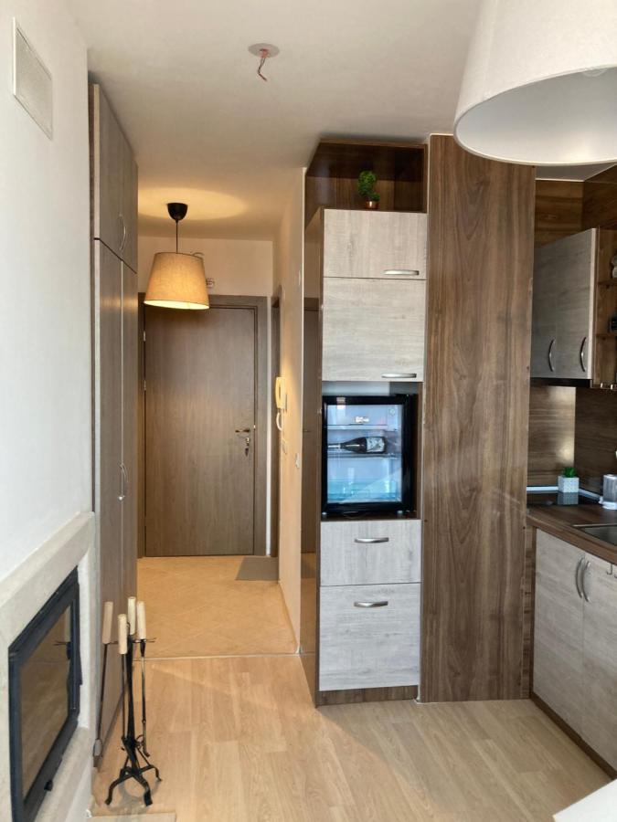 Mirabell Studio Bansko - Amazing View & Fireplace Ngoại thất bức ảnh
