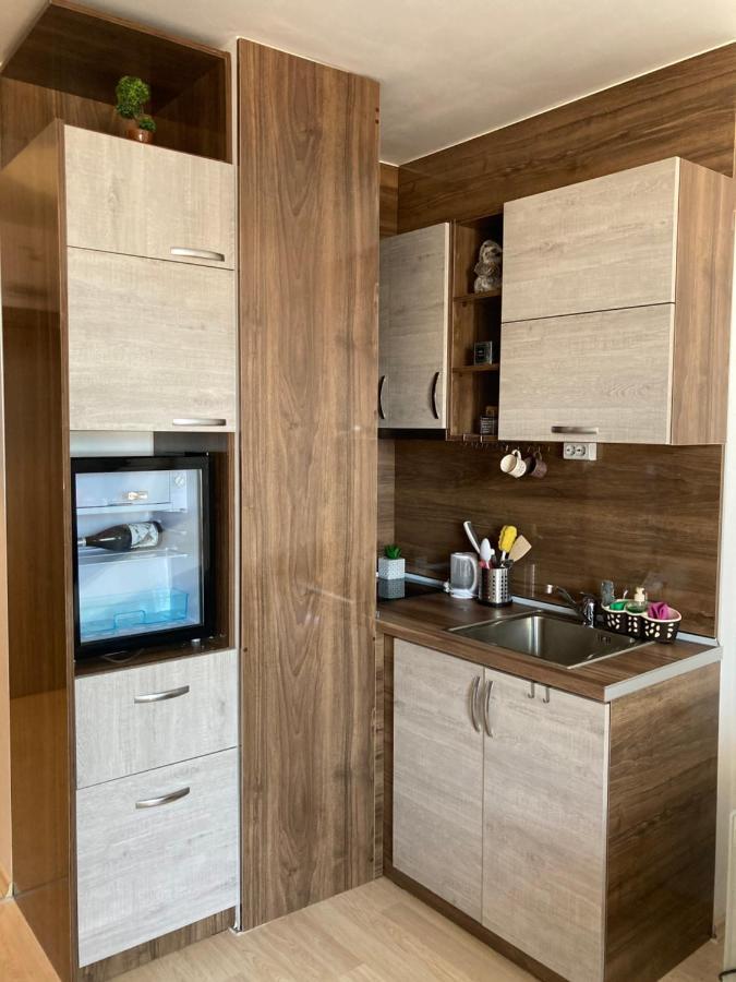 Mirabell Studio Bansko - Amazing View & Fireplace Ngoại thất bức ảnh
