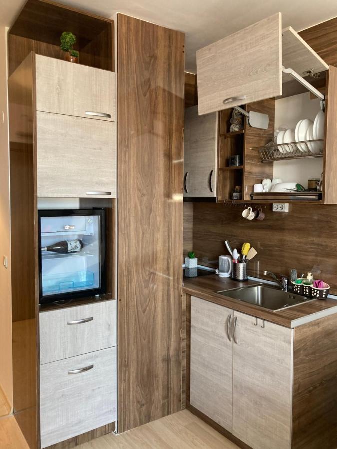 Mirabell Studio Bansko - Amazing View & Fireplace Ngoại thất bức ảnh
