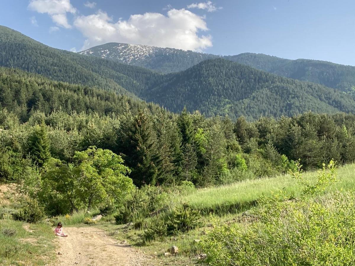 Mirabell Studio Bansko - Amazing View & Fireplace Ngoại thất bức ảnh